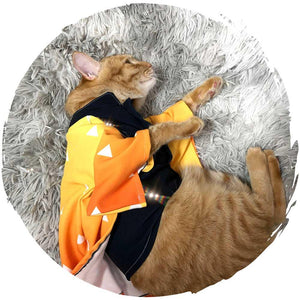 👻鬼滅之刃Cosplay貓貓服飾(我妻善逸)-貓-毛孩物語Pets Thing｜香港寵物貓狗用品專門店：IATA寵物飛機籠、寵物手推車、貓爬架貓樹