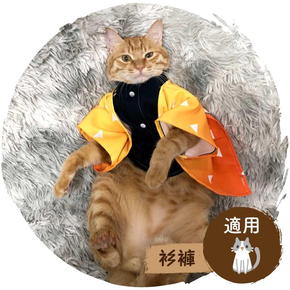 👻鬼滅之刃Cosplay貓貓服飾(我妻善逸)-貓-毛孩物語Pets Thing｜香港寵物貓狗用品專門店：IATA寵物飛機籠、寵物手推車、貓爬架貓樹