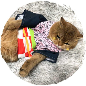 👻鬼滅之刃Cosplay貓貓服飾(竈門禰豆子)-貓-毛孩物語Pets Thing｜香港寵物貓狗用品專門店：IATA寵物飛機籠、寵物手推車、貓爬架貓樹