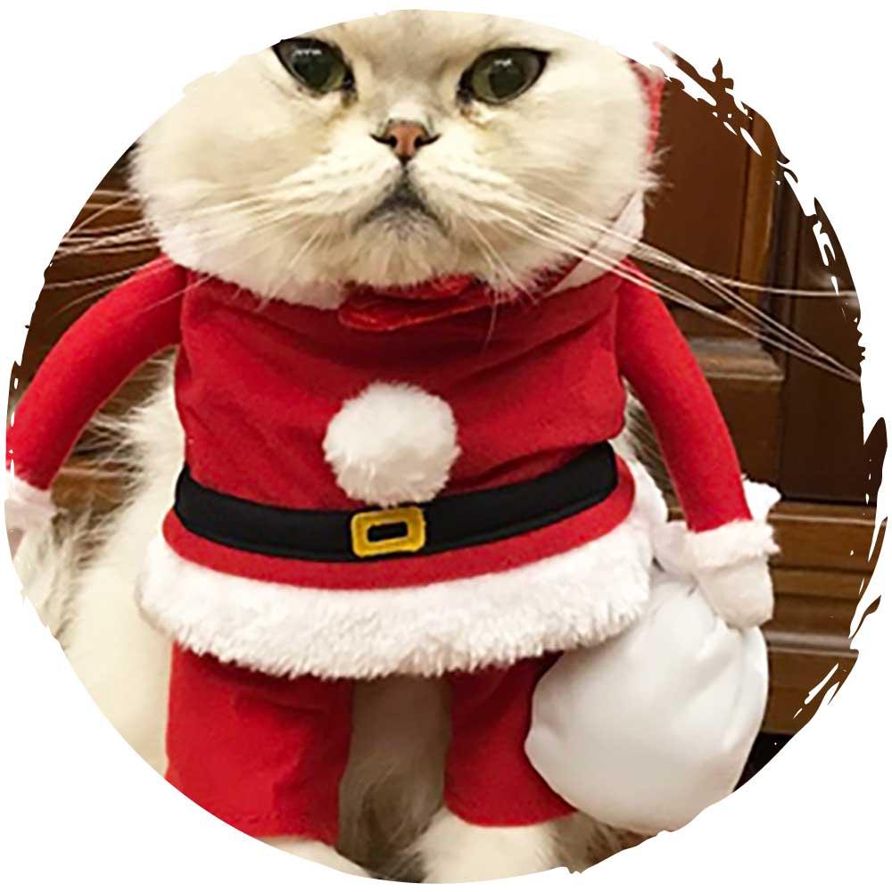 Petio聖誕節寵物帽貓咪狗仔聖誕老人裝扮衫褲 (男仔)-貓狗-毛孩物語Pets Thing｜香港寵物貓狗用品專門店：IATA寵物飛機籠、寵物手推車、貓爬架貓樹