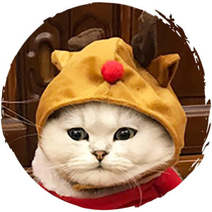 Petio聖誕節寵物帽貓咪狗仔帽子 (鹿角)-貓狗-毛孩物語Pets Thing｜香港寵物貓狗用品專門店：IATA寵物飛機籠、寵物手推車、貓爬架貓樹