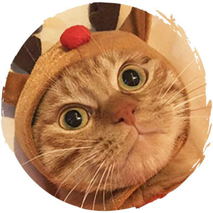 Petio聖誕節寵物帽貓咪狗仔帽子 (鹿角)-貓狗-毛孩物語Pets Thing｜香港寵物貓狗用品專門店：IATA寵物飛機籠、寵物手推車、貓爬架貓樹