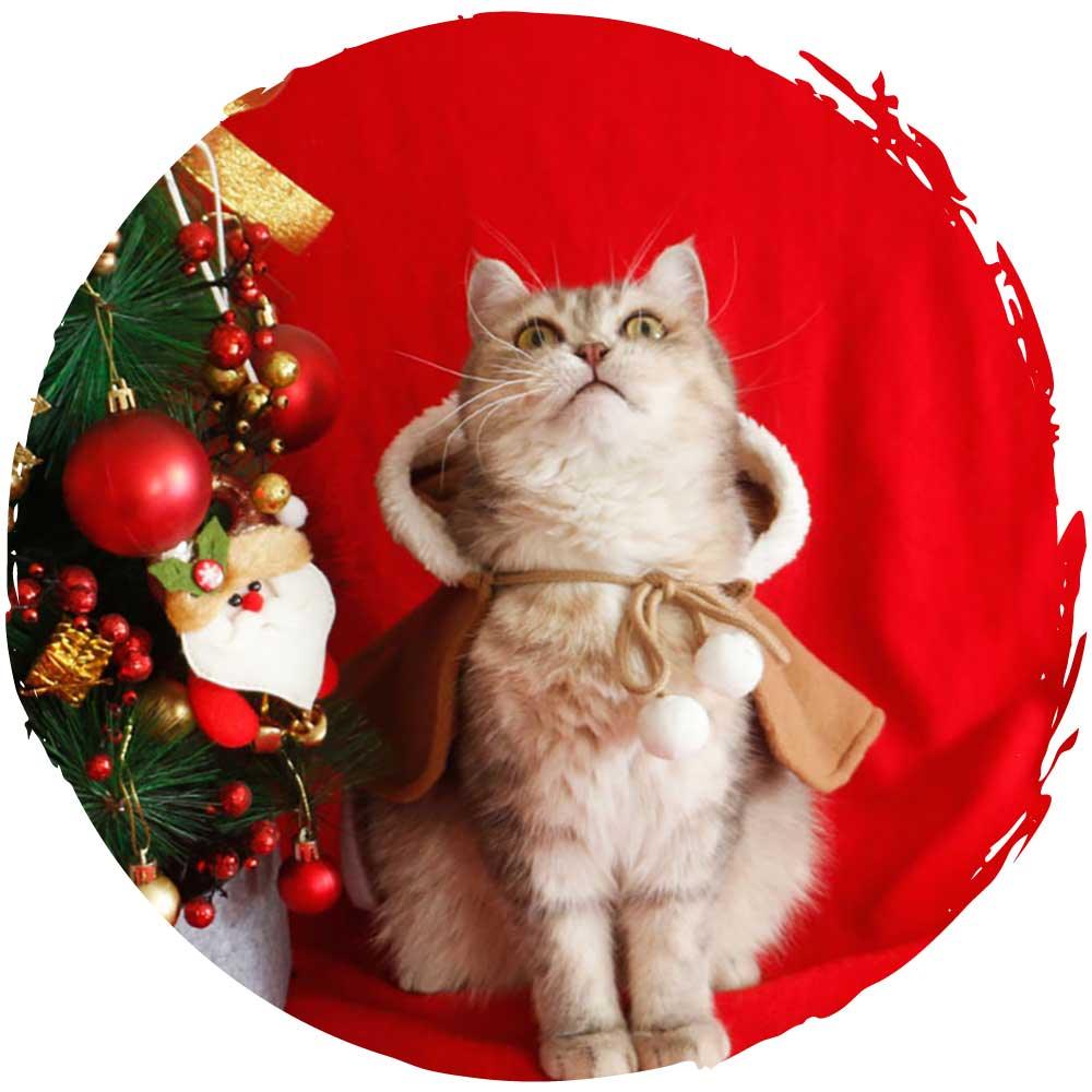 啡色聖誕鹿寵物衣服可愛貓咪披風斗篷-貓狗-毛孩物語Pets Thing｜香港寵物貓狗用品專門店：IATA寵物飛機籠、寵物手推車、貓爬架貓樹