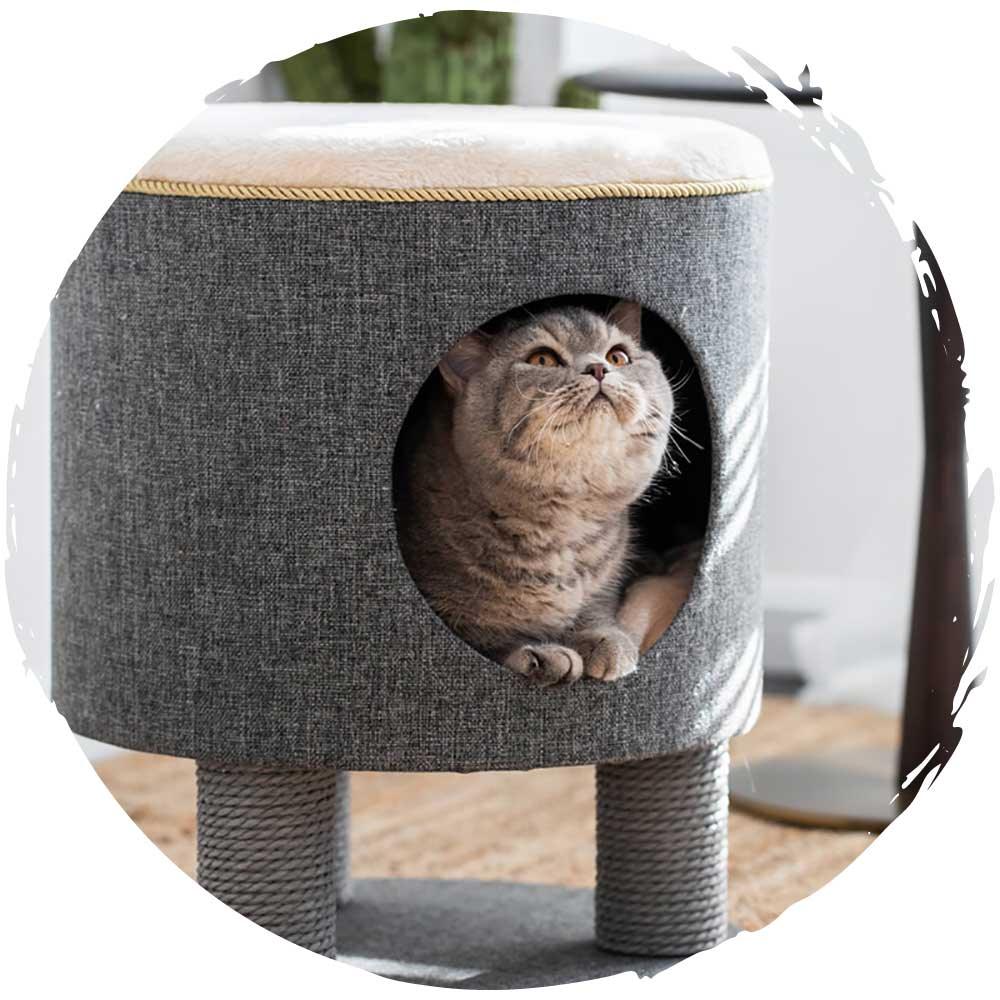 Catry人貓共用劍麻貓抓架可拆洗貓窩凳仔-貓狗-毛孩物語Pets Thing｜香港寵物貓狗用品專門店：IATA寵物飛機籠、寵物手推車、貓爬架貓樹