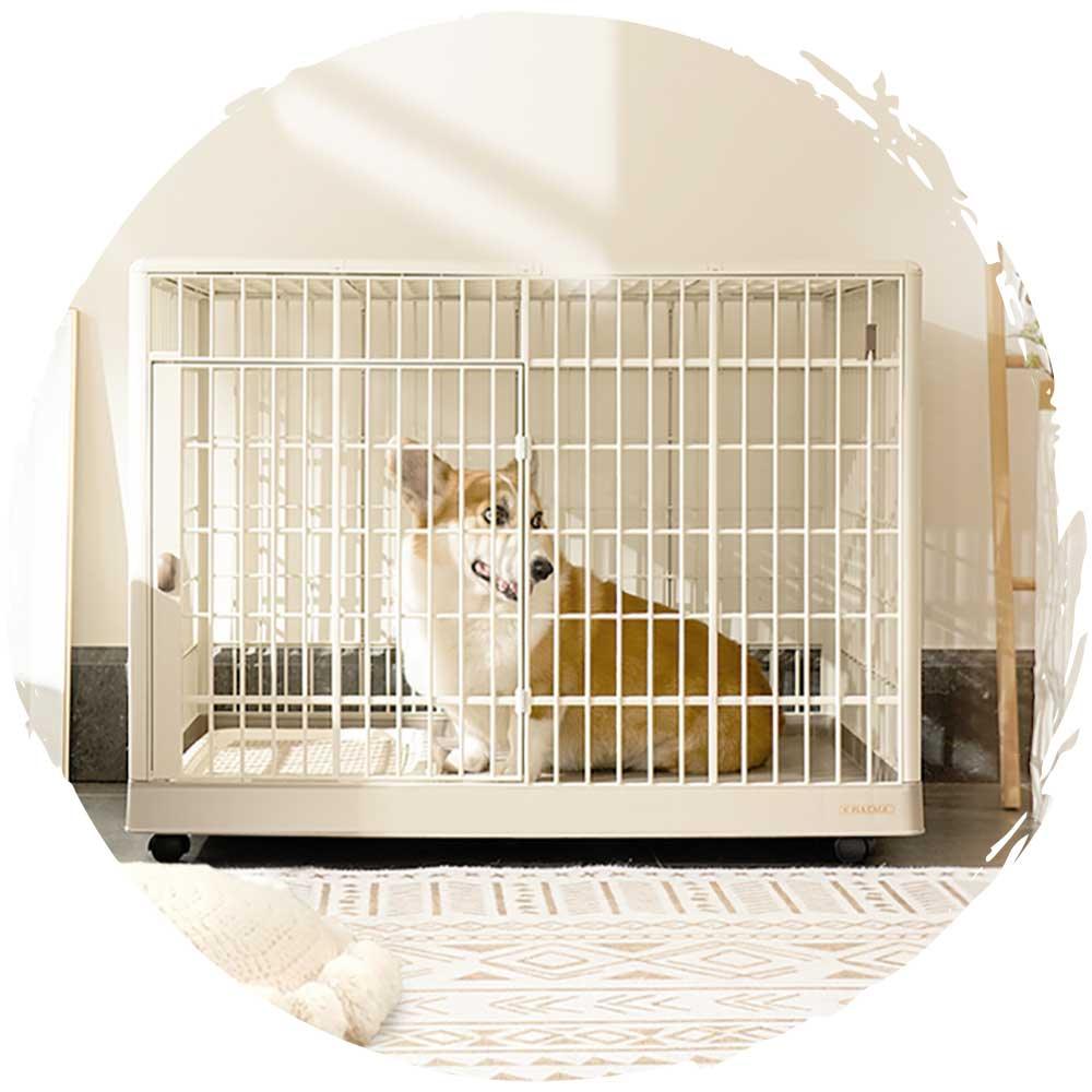 IRIS 1000室內中型犬狗籠－連滾輪輪子＋上蓋 (大碼｜97.6 x 67.2 x 74.3cm)-狗-毛孩物語Pets Thing｜香港寵物貓狗用品專門店：IATA寵物飛機籠、寵物手推車、貓爬架貓樹