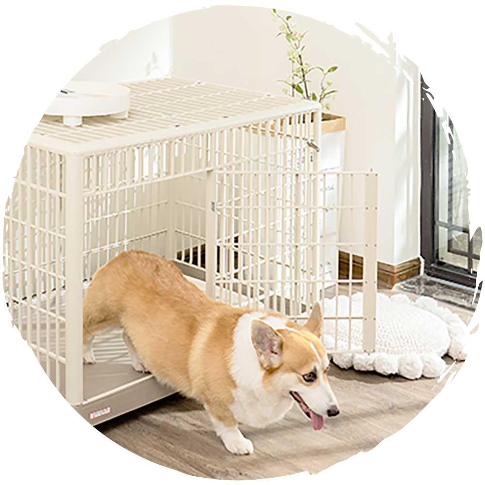 IRIS 1000室內中型犬狗籠－連滾輪輪子＋上蓋 (大碼｜97.6 x 67.2 x 74.3cm)-狗-毛孩物語Pets Thing｜香港寵物貓狗用品專門店：IATA寵物飛機籠、寵物手推車、貓爬架貓樹