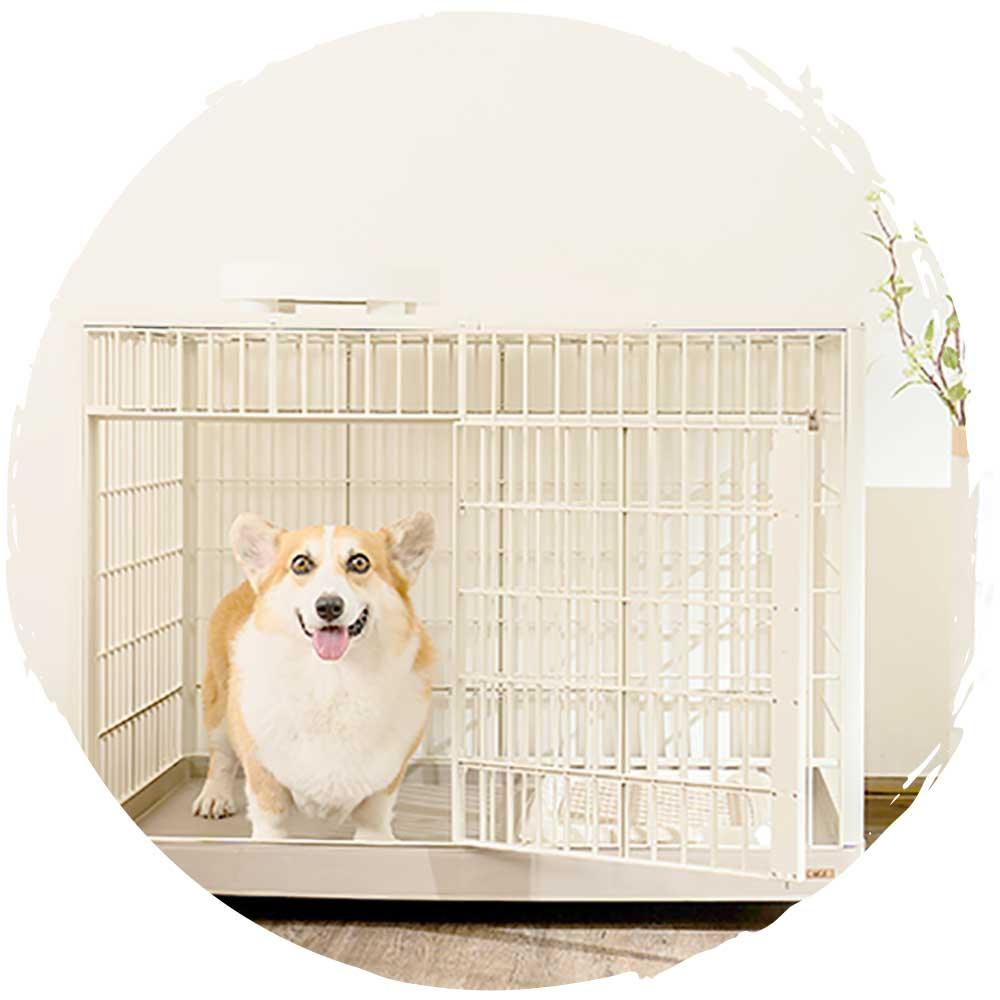 IRIS 1000室內中型犬狗籠－連滾輪輪子＋上蓋 (大碼｜97.6 x 67.2 x 74.3cm)-狗-毛孩物語Pets Thing｜香港寵物貓狗用品專門店：IATA寵物飛機籠、寵物手推車、貓爬架貓樹