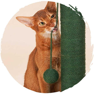 zeze仙人掌麻抓柱貓爬架-貓-毛孩物語Pets Thing｜香港寵物貓狗用品專門店：IATA寵物飛機籠、寵物手推車、貓爬架貓樹
