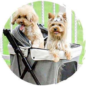 日本BONBI IVPETS Coron可折疊寵物日本原創外出手推車(藍色)(8kg承重)-狗-毛孩物語Pets Thing｜香港寵物貓狗用品專門店：IATA寵物飛機籠、寵物手推車、貓爬架貓樹