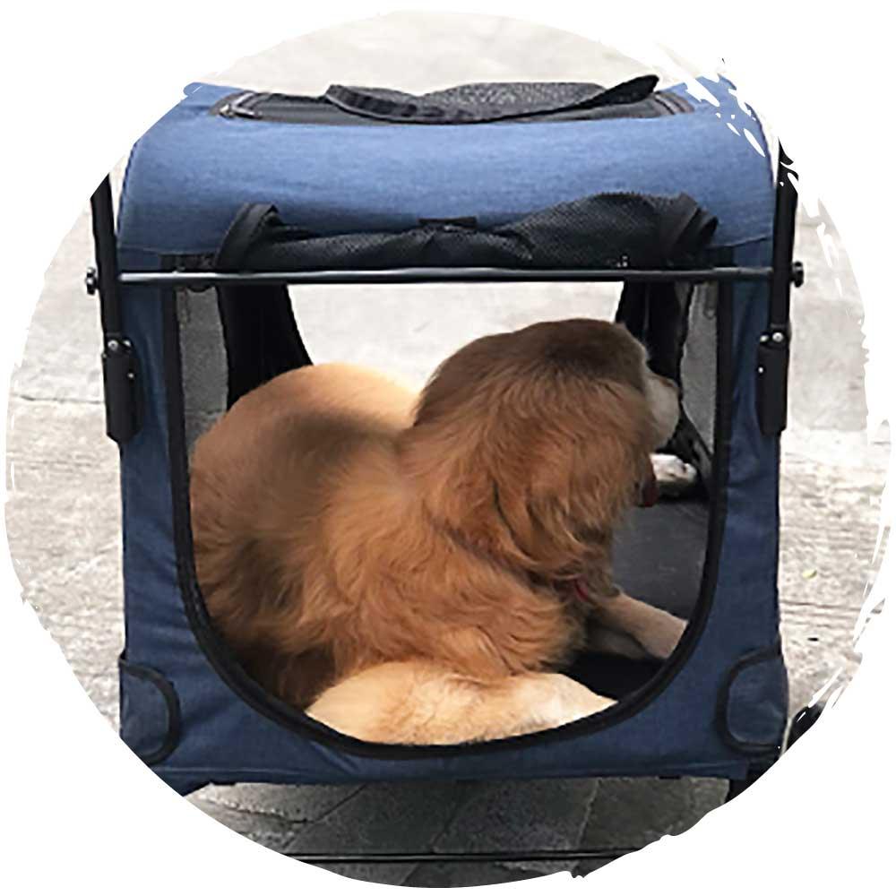 DODOPET 大型狗四輪摺疊狗狗手推車 (寵物承重：70kg)-狗-毛孩物語Pets Thing｜香港寵物貓狗用品專門店：IATA寵物飛機籠、寵物手推車、貓爬架貓樹