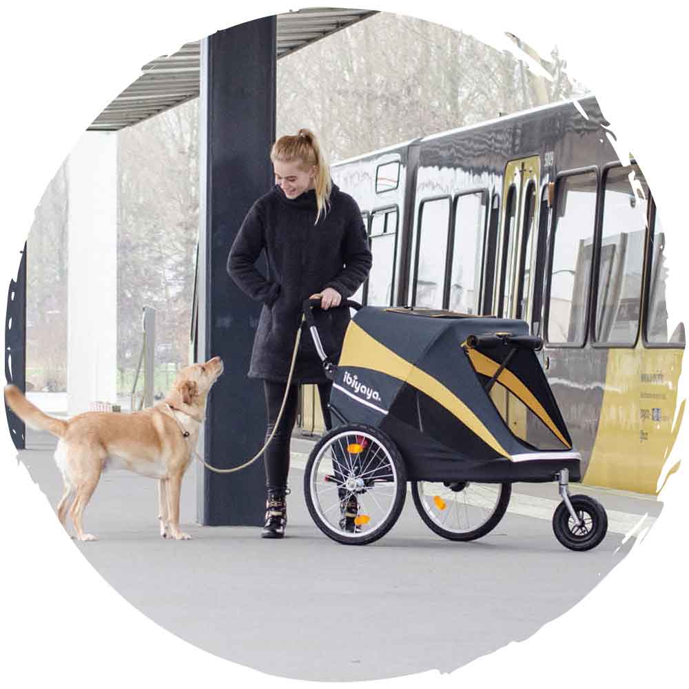 Innopet Hercules Large Dog Buggy Hercules Dog Stroller Top