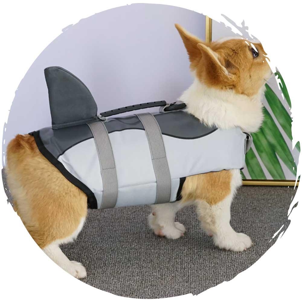 🏊‍♂️夏季狗狗玩水游泳救生衣(小鯊魚)-狗-毛孩物語Pets Thing｜香港寵物貓狗用品專門店：IATA寵物飛機籠、寵物手推車、貓爬架貓樹