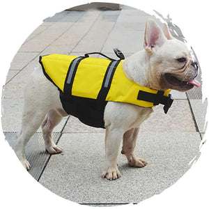 🏊‍♂️夏季狗狗玩水游泳救生衣(普通款)-狗-毛孩物語Pets Thing｜香港寵物貓狗用品專門店：IATA寵物飛機籠、寵物手推車、貓爬架貓樹