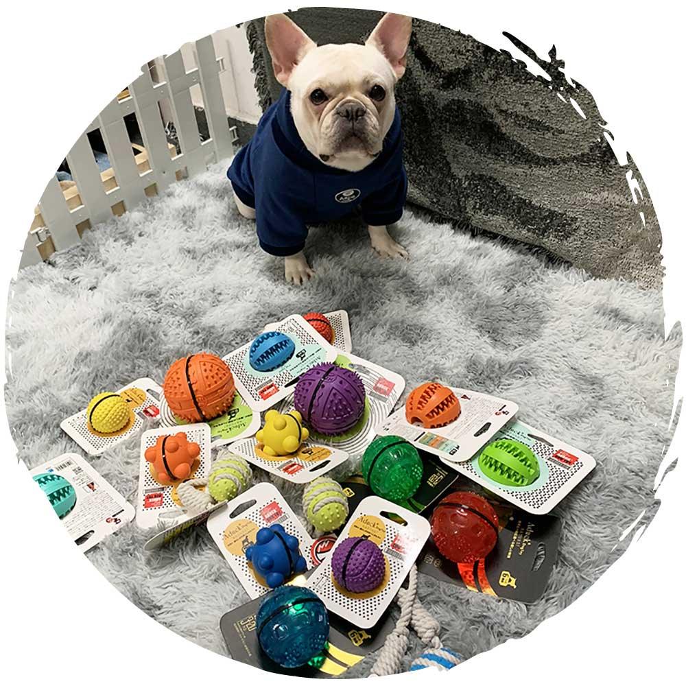 🎾日本狗狗橡膠彈力發聲球玩具(紅色｜小型犬適用)-貓狗-毛孩物語Pets Thing｜香港寵物貓狗用品專門店：IATA寵物飛機籠、寵物手推車、貓爬架貓樹