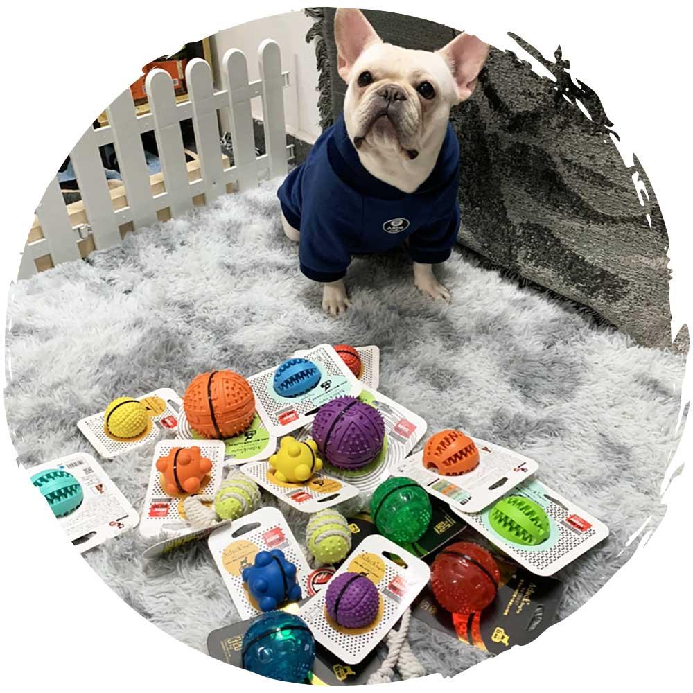 🎾日本狗狗橡膠彈力發聲球玩具(紅色｜小型犬適用)-貓狗-毛孩物語Pets Thing｜香港寵物貓狗用品專門店：IATA寵物飛機籠、寵物手推車、貓爬架貓樹