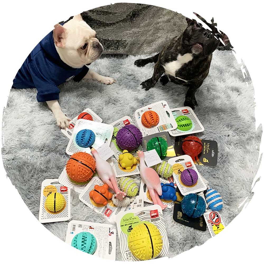 🎾日本狗狗橡膠彈力發聲球玩具(透光藍)-貓狗-毛孩物語Pets Thing｜香港寵物貓狗用品專門店：IATA寵物飛機籠、寵物手推車、貓爬架貓樹