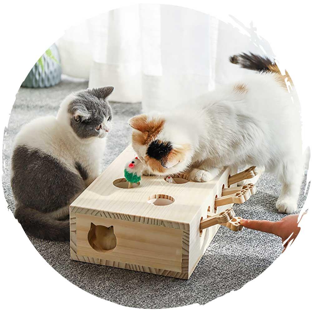 貓咪松木打地鼠逗貓玩具 (升階版｜33 x 26cm)-貓-毛孩物語Pets Thing｜香港寵物貓狗用品專門店：IATA寵物飛機籠、寵物手推車、貓爬架貓樹