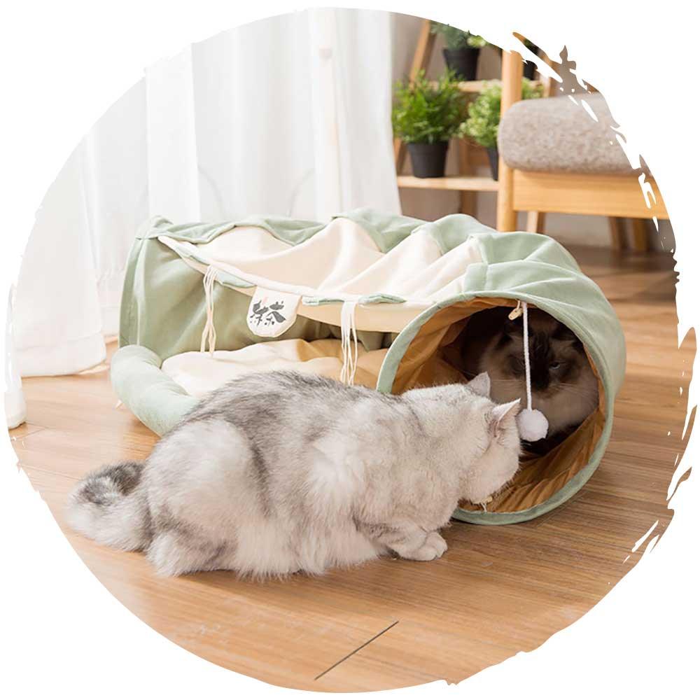 😺多功能可折疊隧道貓窩(抹茶綠色)-貓-毛孩物語Pets Thing｜香港寵物貓狗用品專門店：IATA寵物飛機籠、寵物手推車、貓爬架貓樹