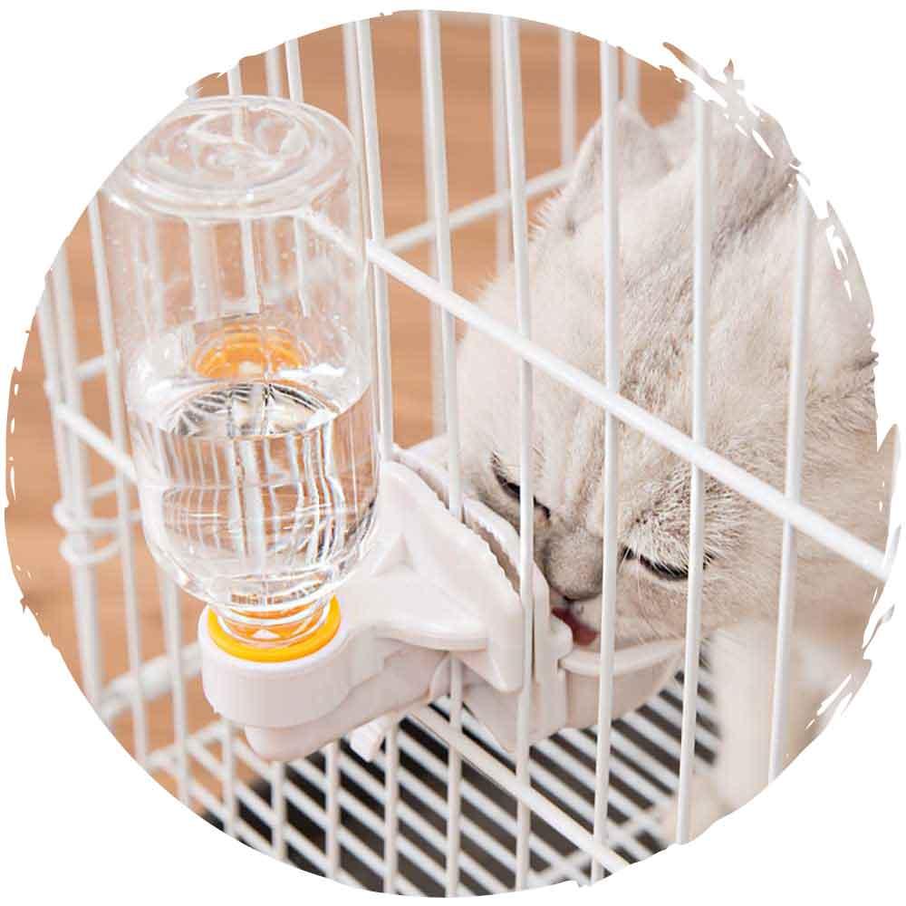 寵物自動倒水飛機籠／籠子懸掛式飲水碗 (750ml)-貓狗-毛孩物語Pets Thing｜香港寵物貓狗用品專門店：IATA寵物飛機籠、寵物手推車、貓爬架貓樹