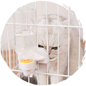 寵物自動倒水飛機籠／籠子懸掛式飲水碗 (500ml)-貓狗-毛孩物語Pets Thing｜香港寵物貓狗用品專門店：IATA寵物飛機籠、寵物手推車、貓爬架貓樹
